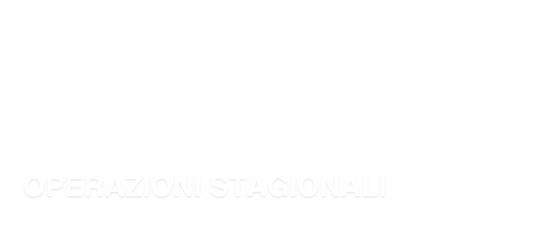 img (3)
