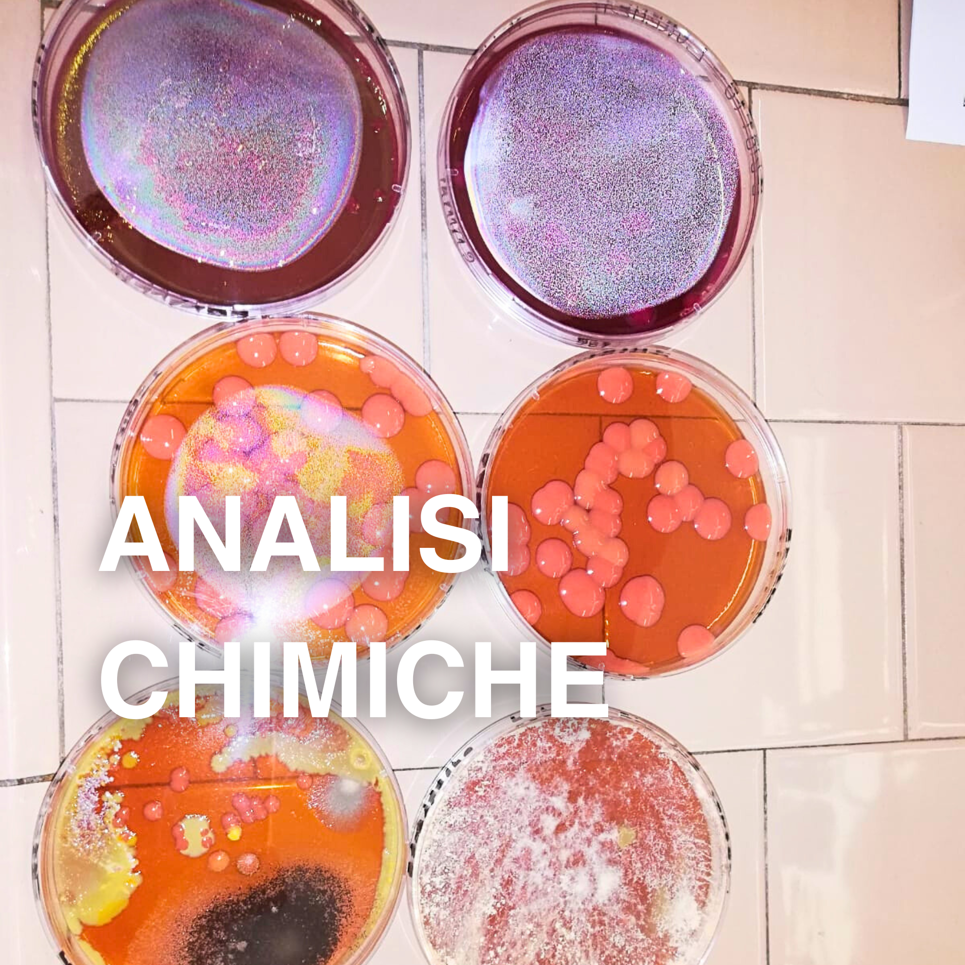 ANALISI CHIMICHE